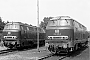 Krupp 4047 - DB "216 004-2"
28.07.1978 - Gelsenkirchen-Bismarck, Bahnbetriebswerk
Michael Hafenrichter